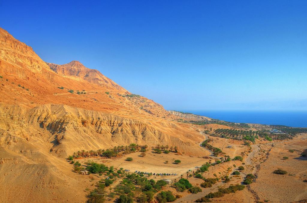 Ein Gedi Kibbutz Hotel Exterior foto