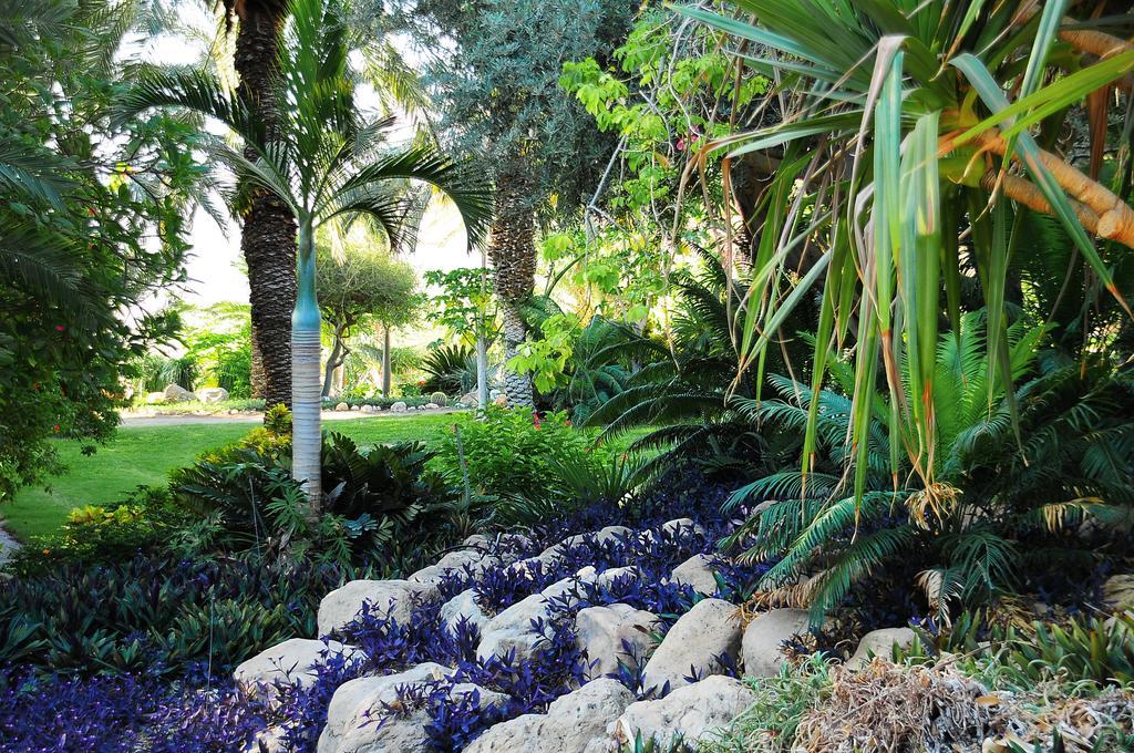 Ein Gedi Kibbutz Hotel Exterior foto