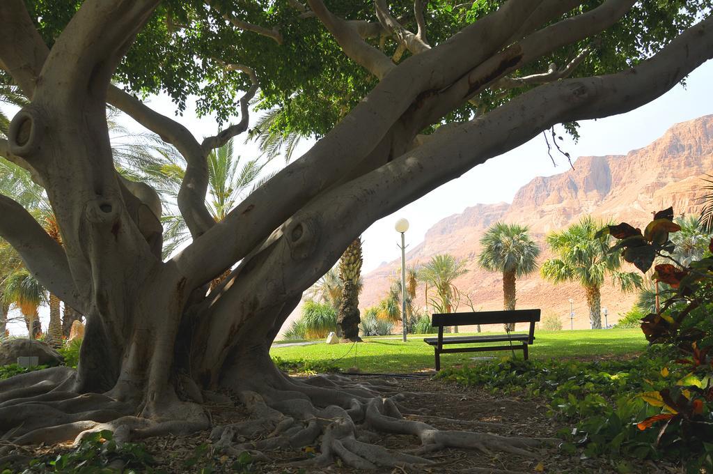 Ein Gedi Kibbutz Hotel Exterior foto