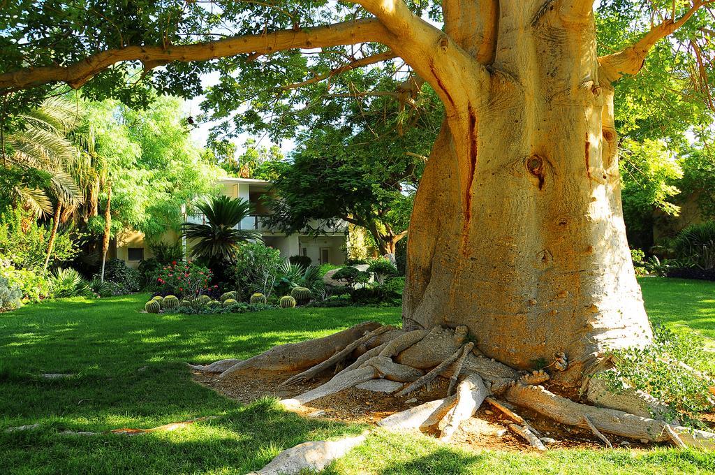 Ein Gedi Kibbutz Hotel Exterior foto
