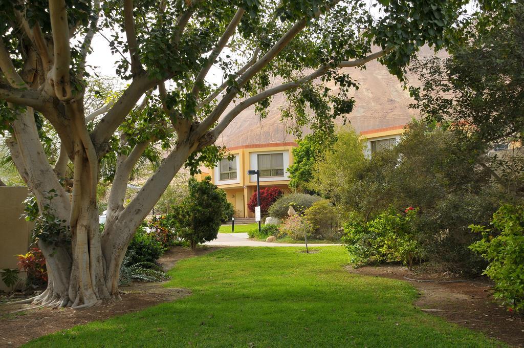 Ein Gedi Kibbutz Hotel Exterior foto