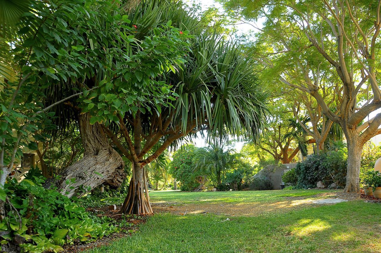Ein Gedi Kibbutz Hotel Exterior foto